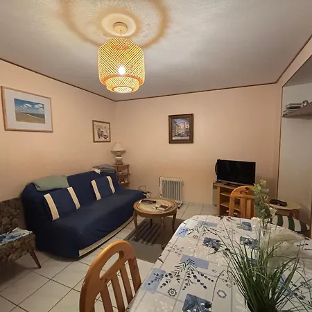 Lumineux Et Proche Aux Sables-d'olonne - Fr-1-197-446 *